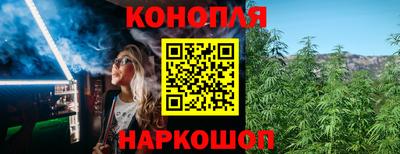 мяу мяу мука Владикавказ