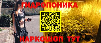Альфа ПВП Владимир