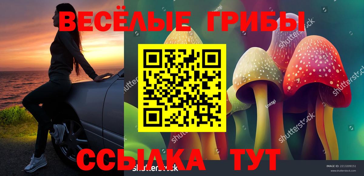 Галлюциногенные грибы прущие грибы  Вход с VPN  Петропавловск-Камчатский  Псилоцибиновые грибы Psilocybine cubensis 