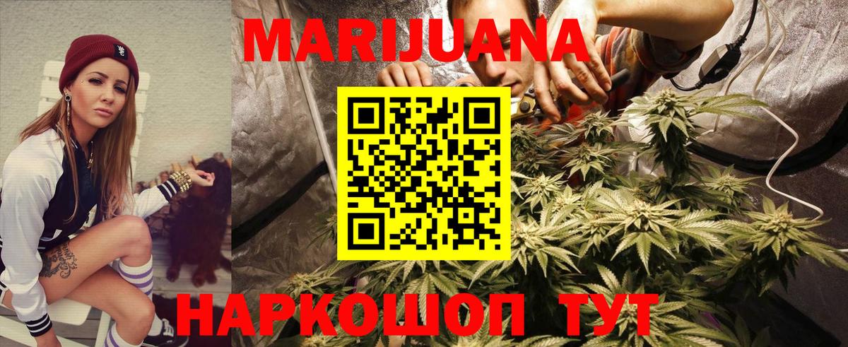 Бошки Шишки тримм  Шишки марихуана Amnesia  Бошки Шишки планчик  Вход с VPN  Петропавловск-Камчатский 